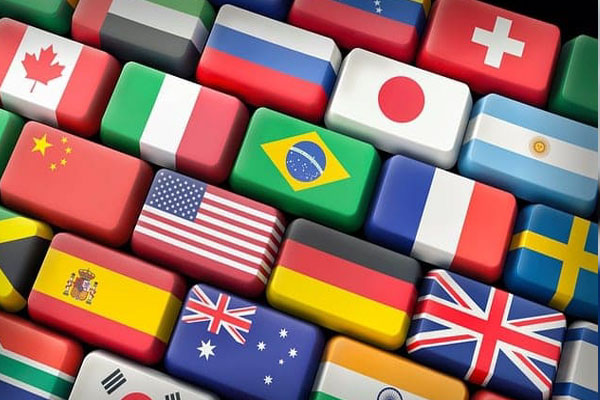 MSDS Translation Services